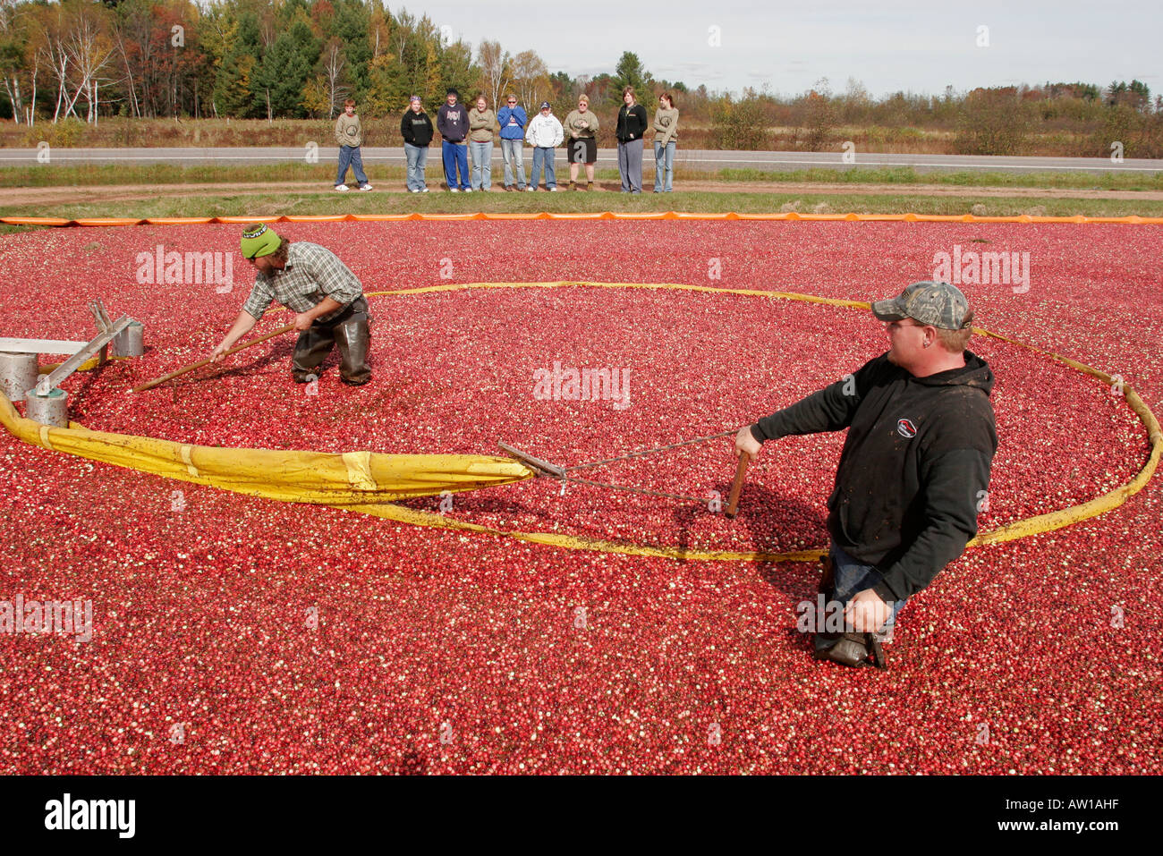 Wisconsin,WI,Upper Midwest,Wood County,highway Route 173,Cranmoor