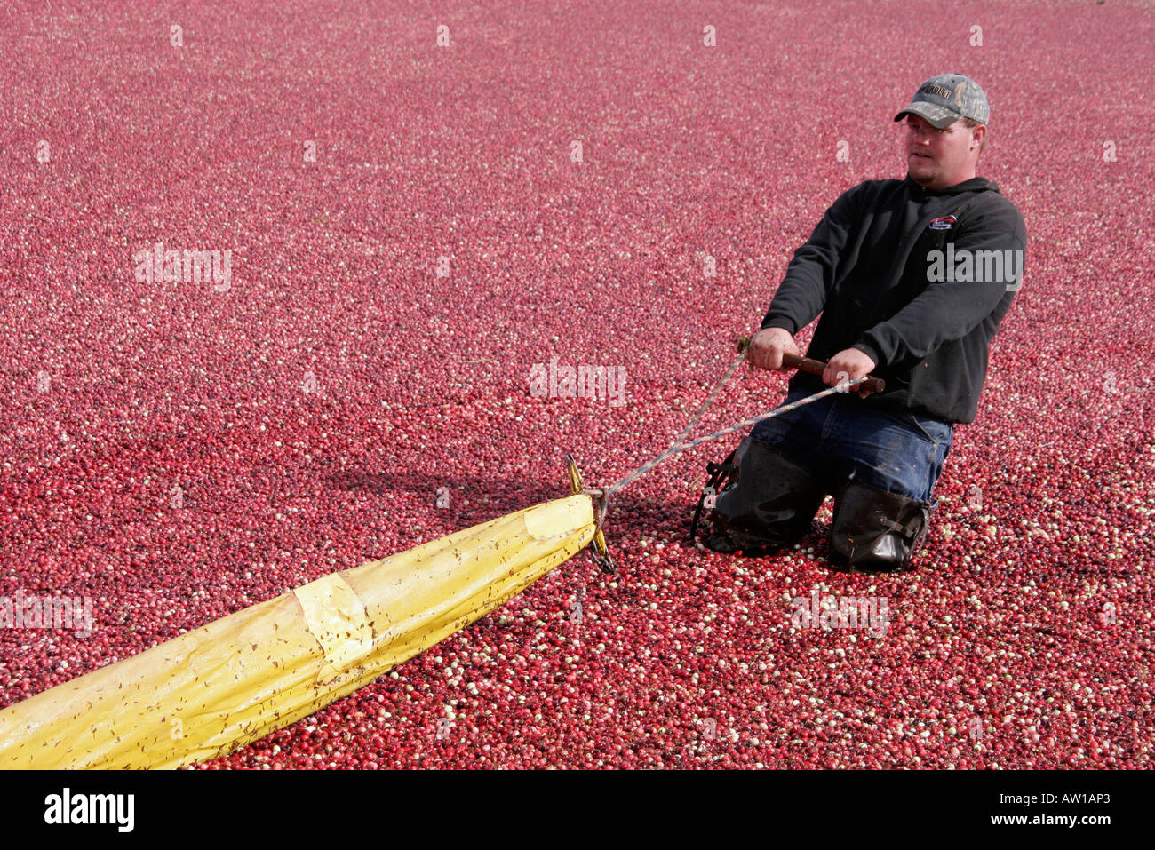 Wisconsin Wood County,highway Route 173,Cranmoor Cranberry Company