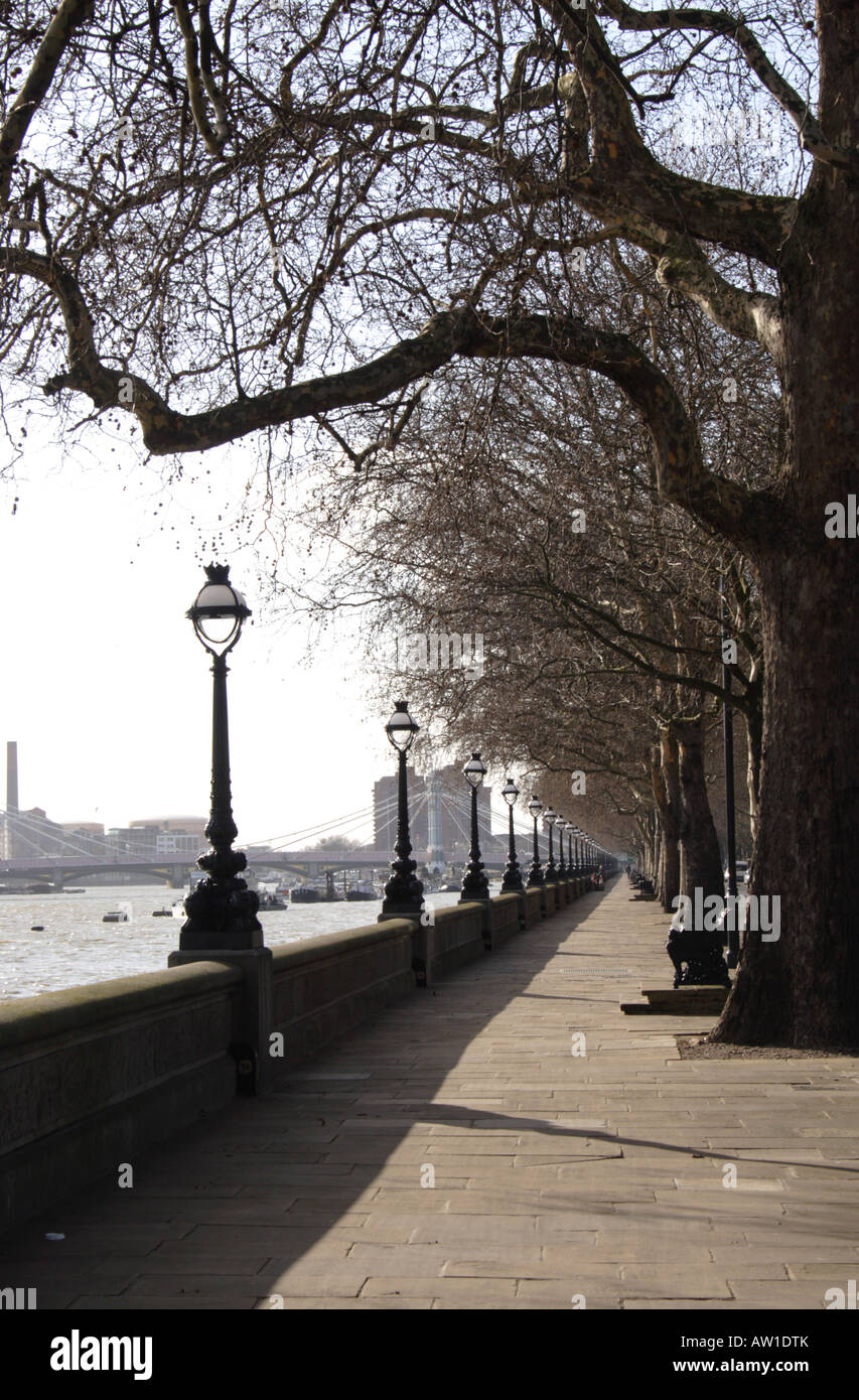 Tree lined path at Chelsea Embankment London Stock Photo