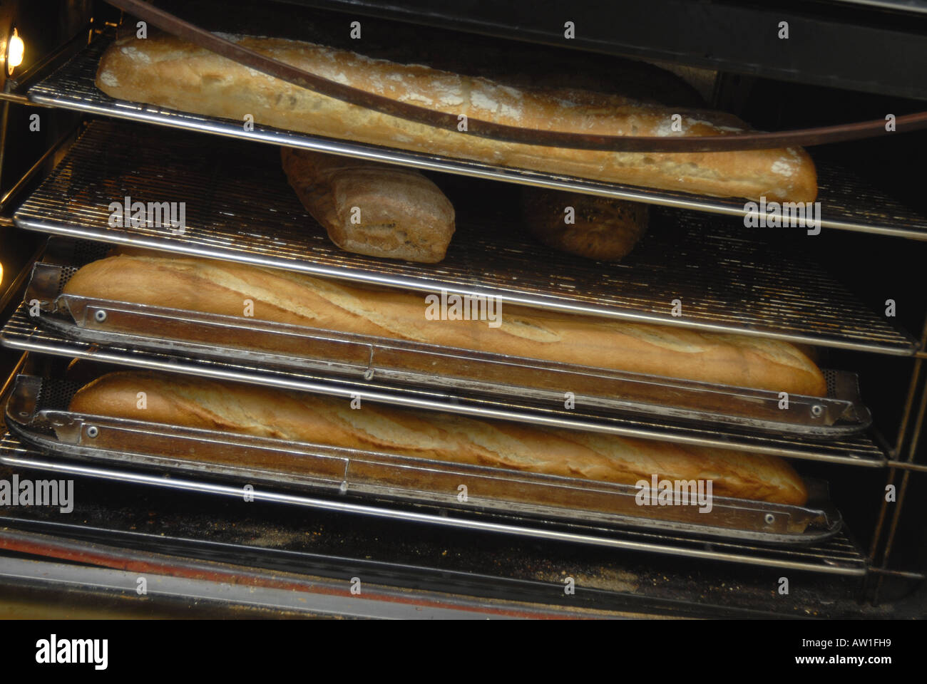 French bread in oven Nano Calvo Stock Photo Alamy
