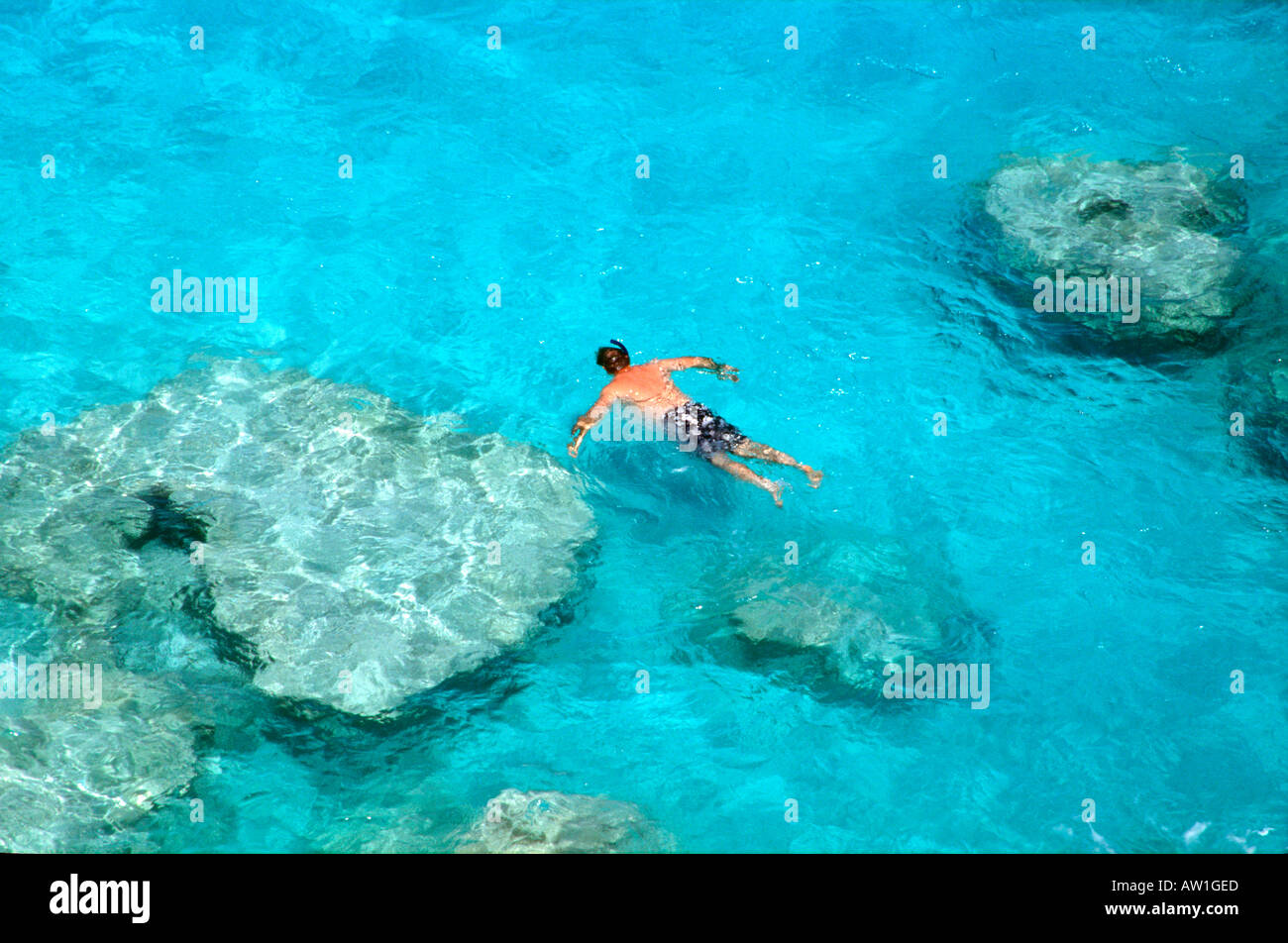 Bermuda snorkeling hires stock photography and images Alamy