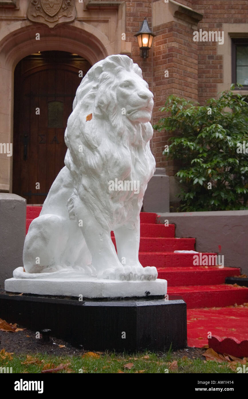 White lion in front of a fraternity house in the University of Washington in Seattle Stock Photo