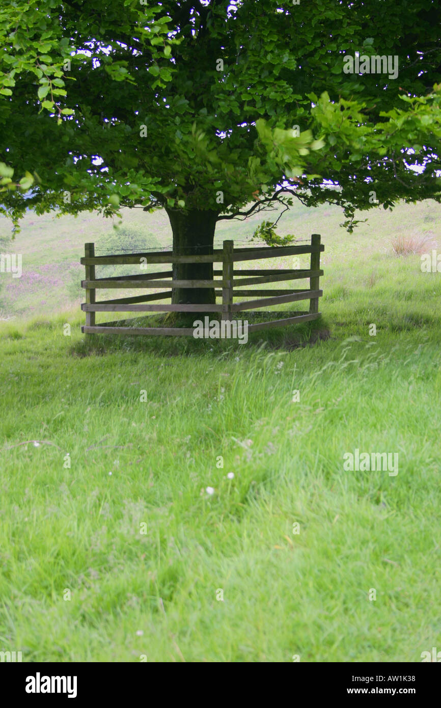 Livestock guard hi-res stock photography and images - Alamy