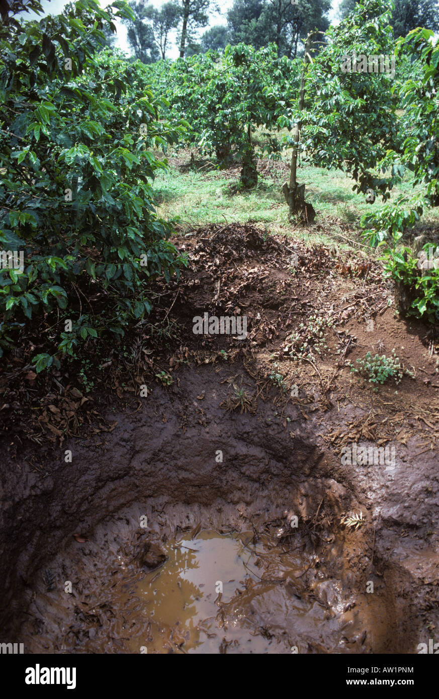 Water catchment hole in a Kenyan coffee plantation to prevent erosion in heavy rain Stock Photo