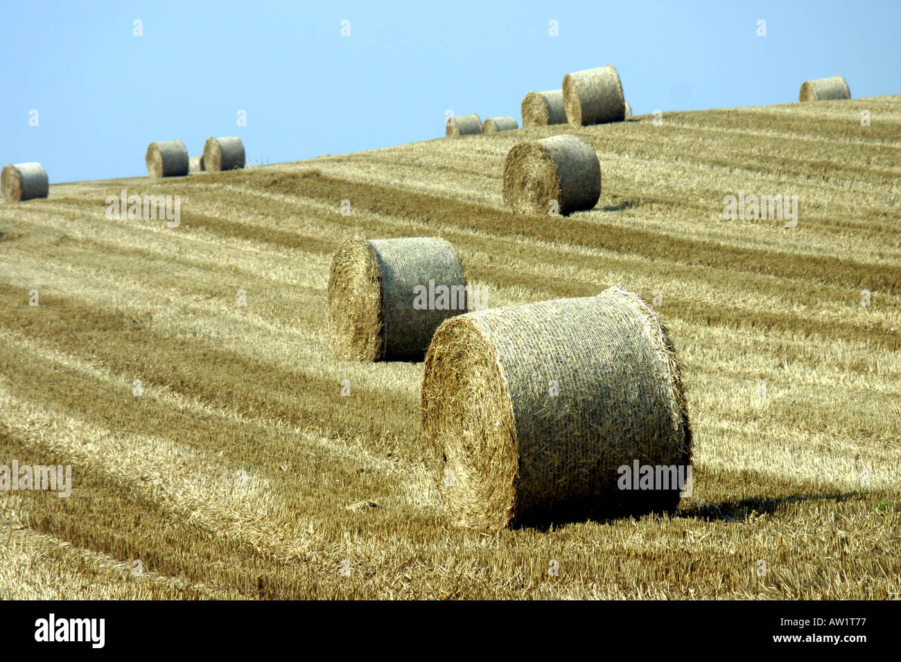 Round Hay Bales, St Margrets Bay, Kent, U.K Stock Photo Alamy