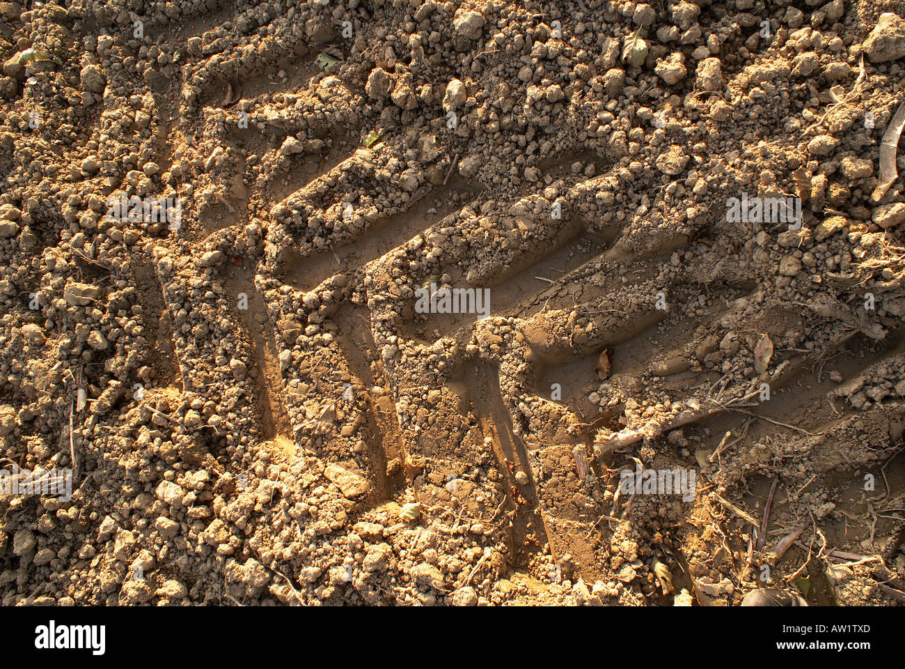 Traces of a Tractor on a ploughed field Stock Photo