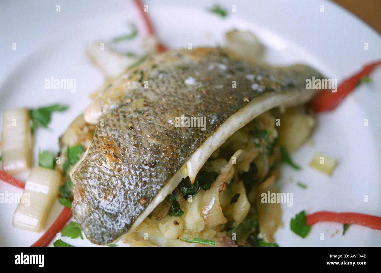 grilled sea bass on a bed mashed potatoes with parsley Stock Photo