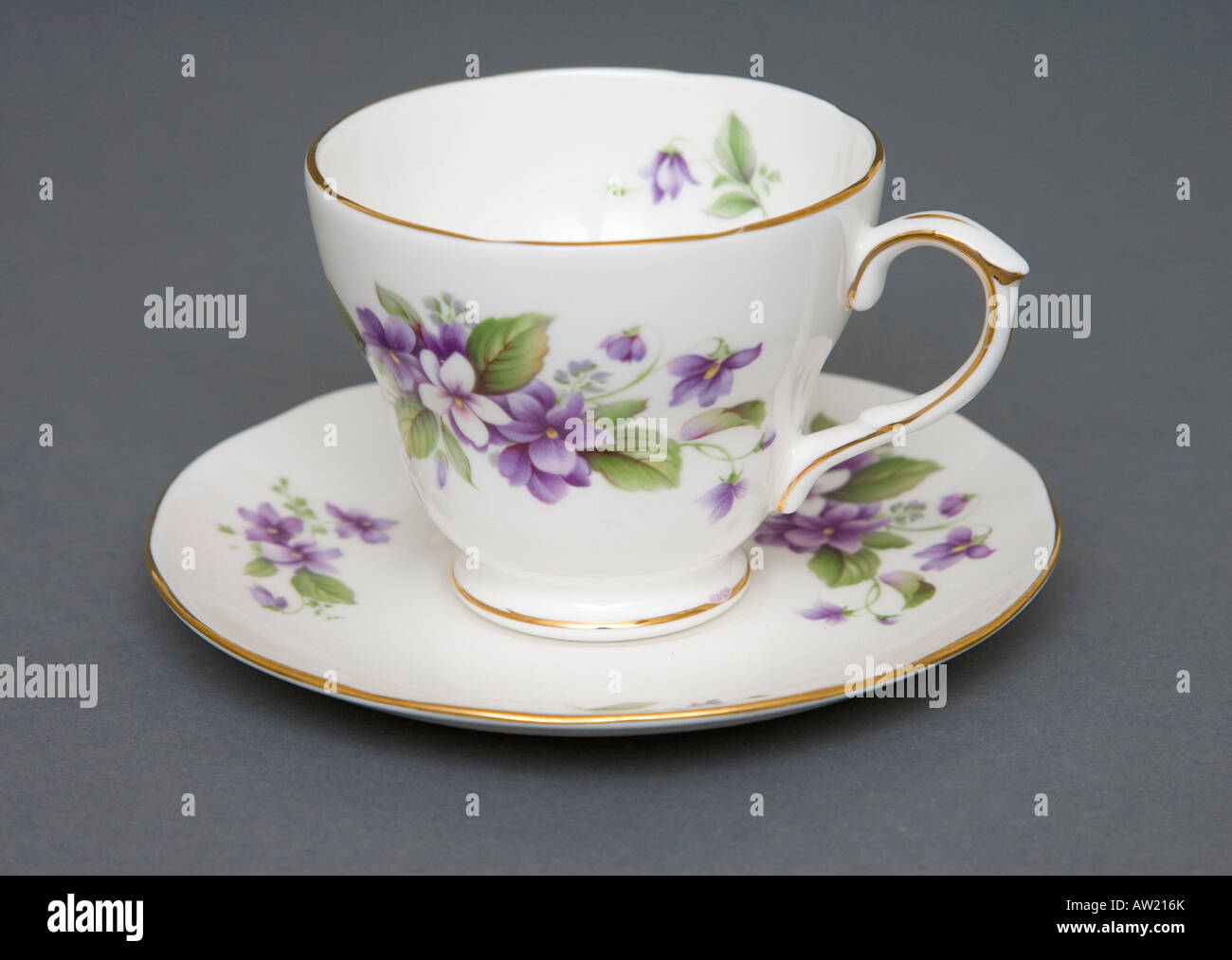 Duchess bone china teacup and saucer with 'Tivoli' design Stock Photo