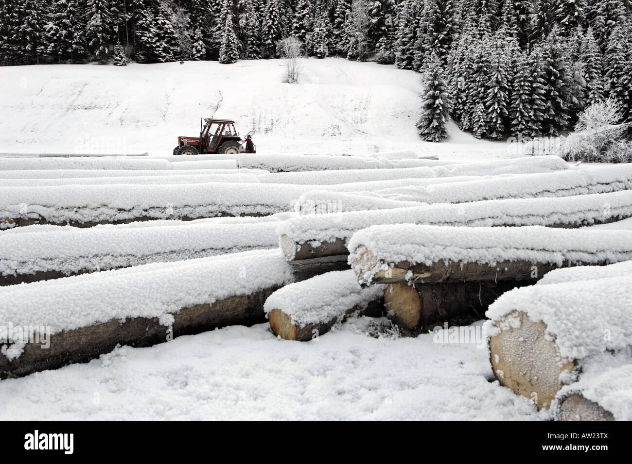 Timber tractor hi-res stock photography and images - Alamy