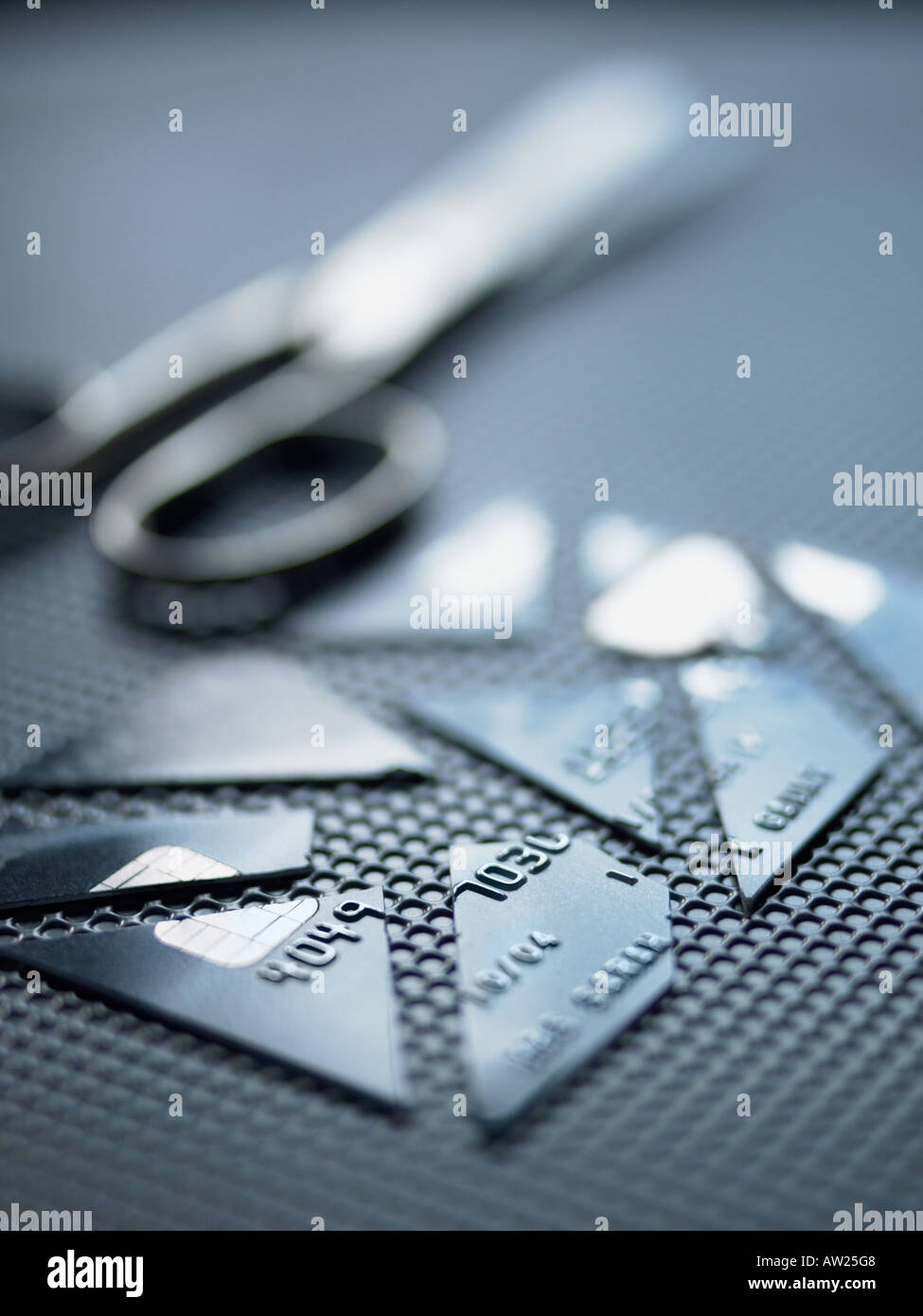 Cut up credit card Stock Photo Alamy