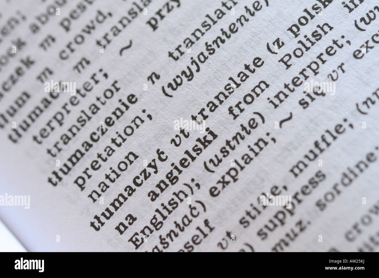 Foreign language translation dictionary Polish English Stock Photo Alamy