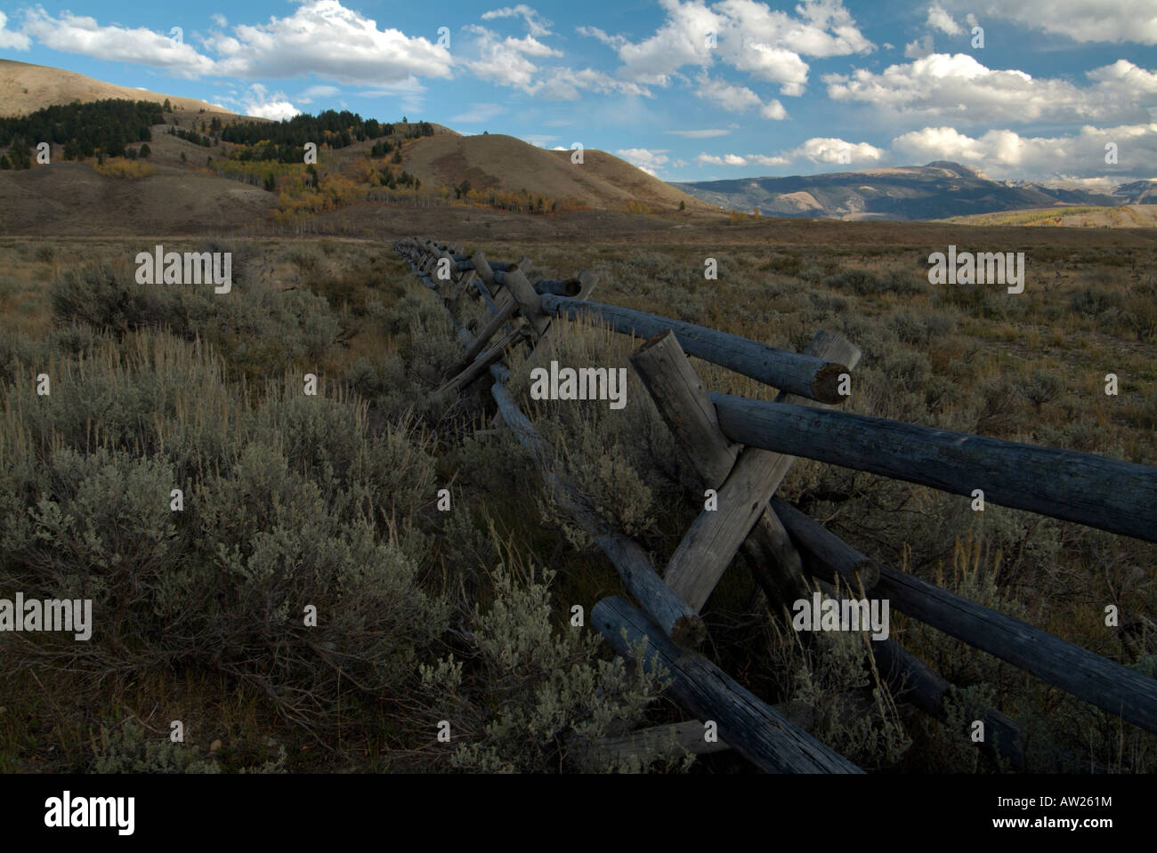 Buck and rail fence in the grand teton national park wyoming USA Stock Photo