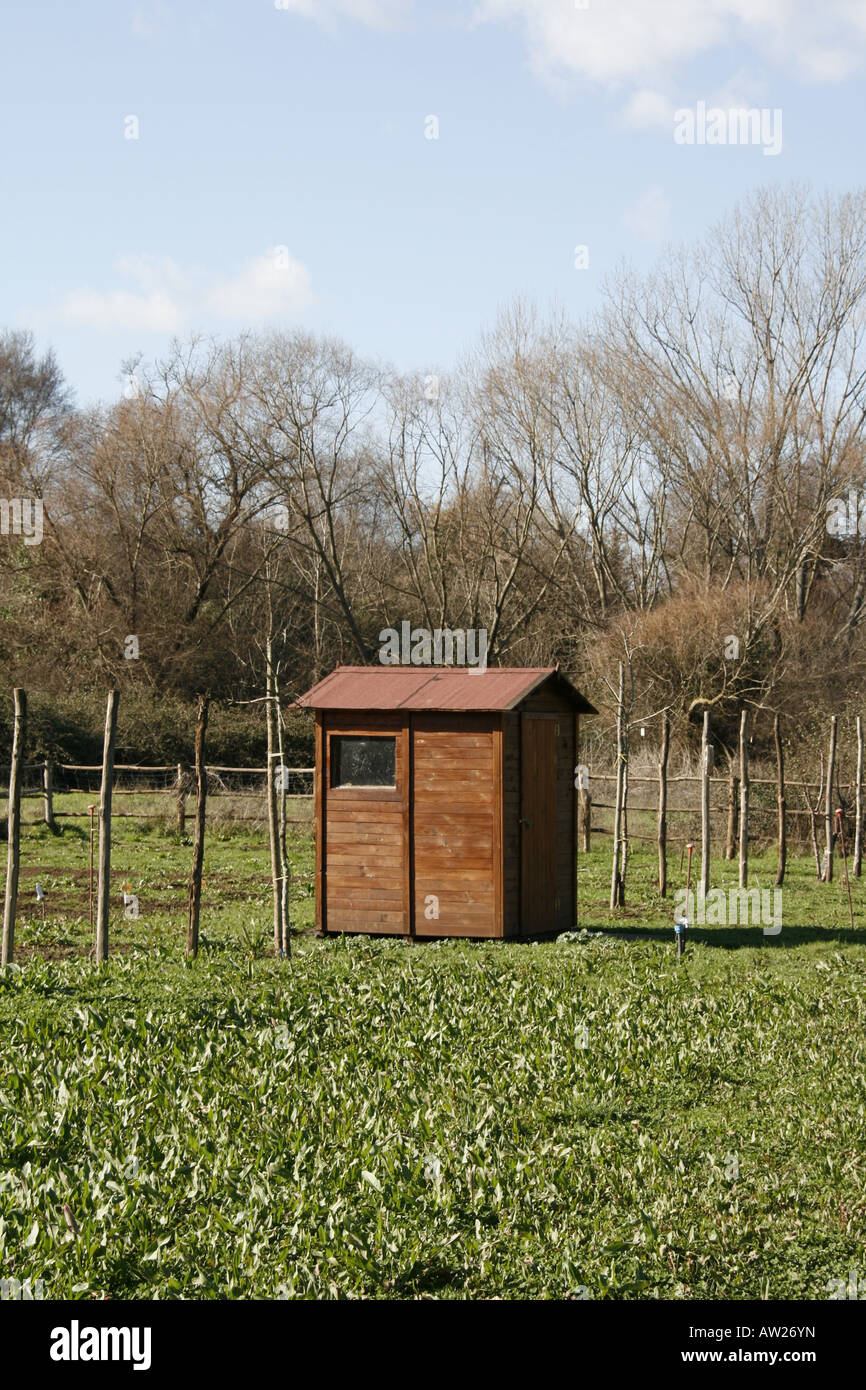 Allotment shed isolated hi-res stock photography and images - Alamy