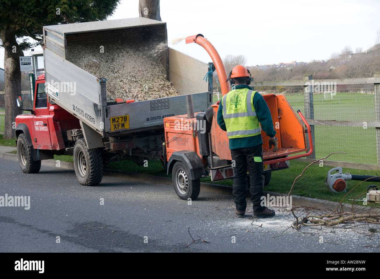 Contractors tree shredding Aberystwyth Wales Stock Photo