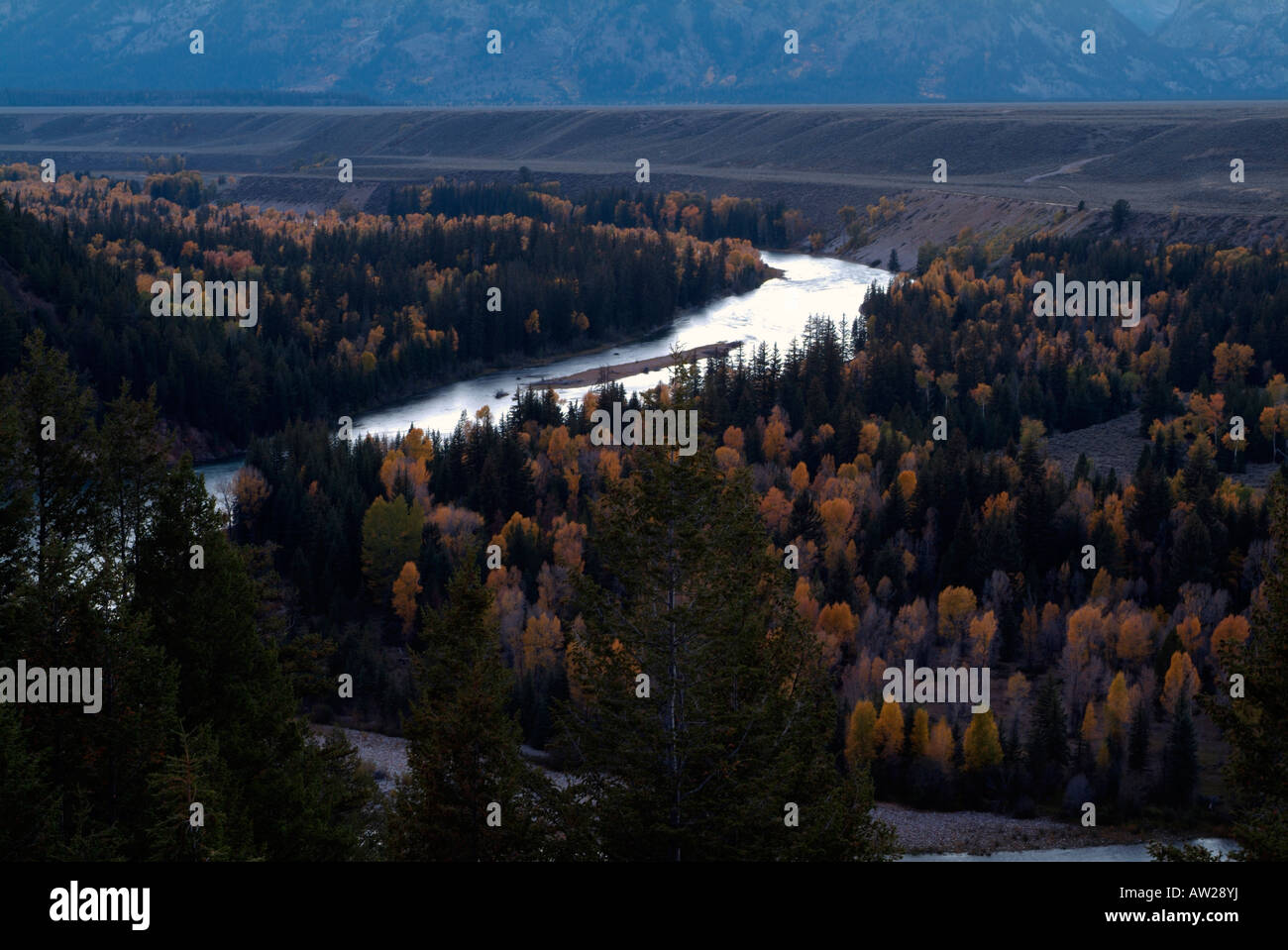 Sunset at the snake river overlook with fall autumnal coloured aspens ...