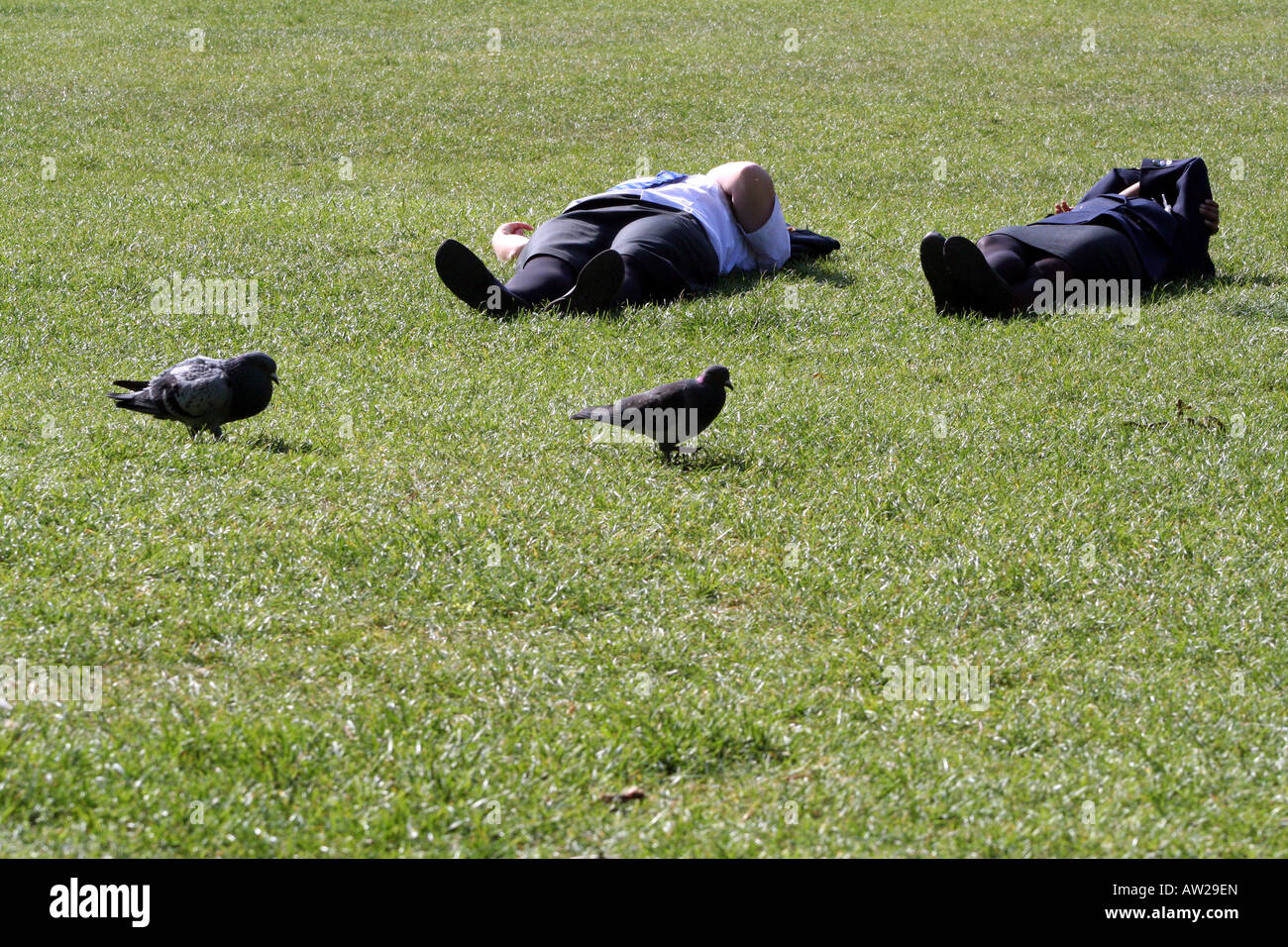 Two pigeons seem to mimic two women dozing on the grass in a London park Stock Photo