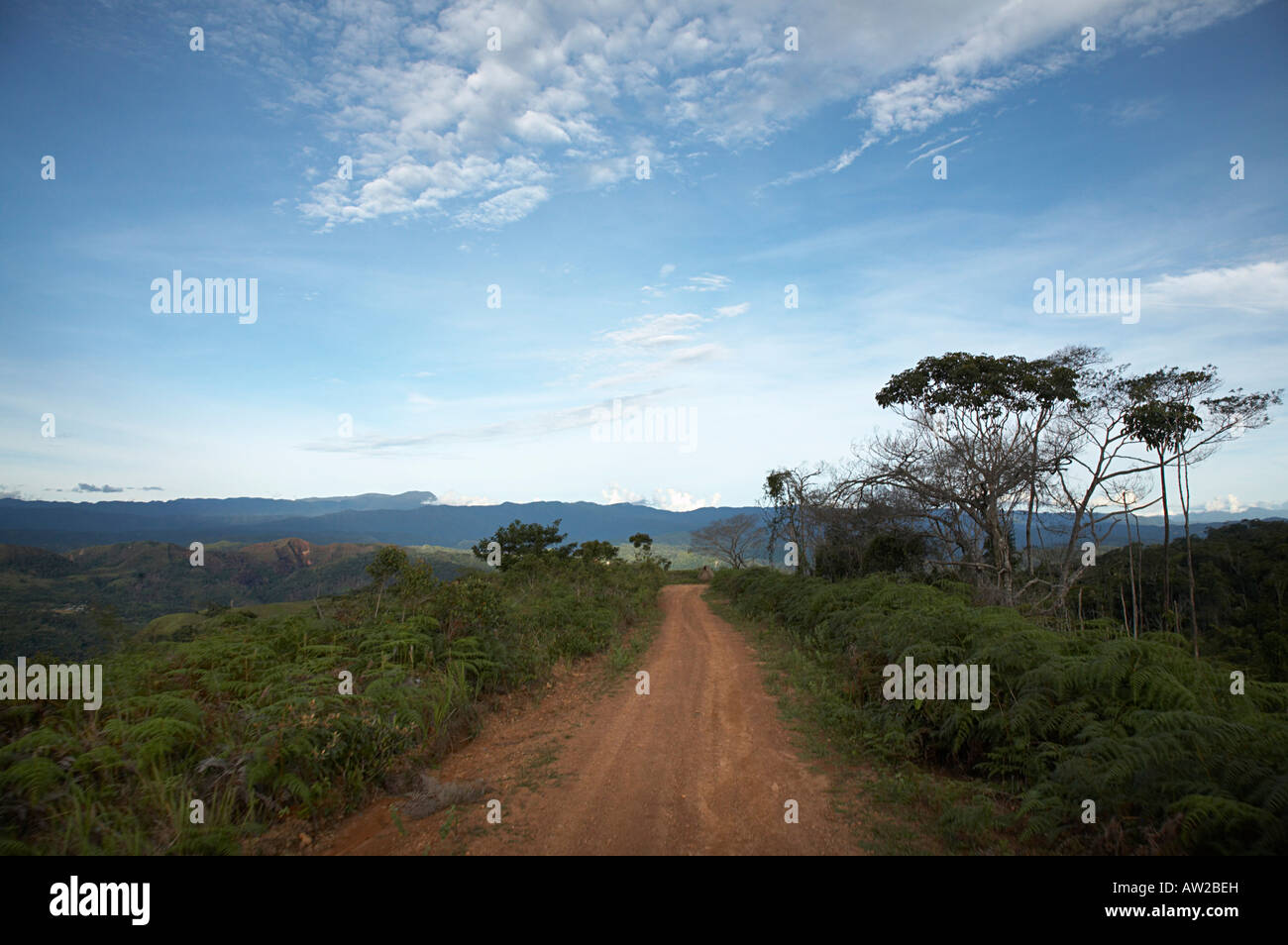 The yungas road hi-res stock photography and images - Alamy