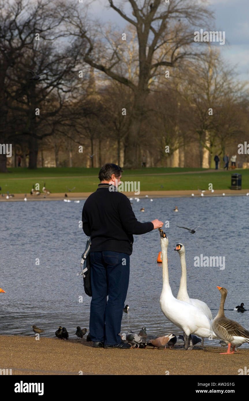 People strolling and feeding birds by The Round Pond Kensington Gardens
