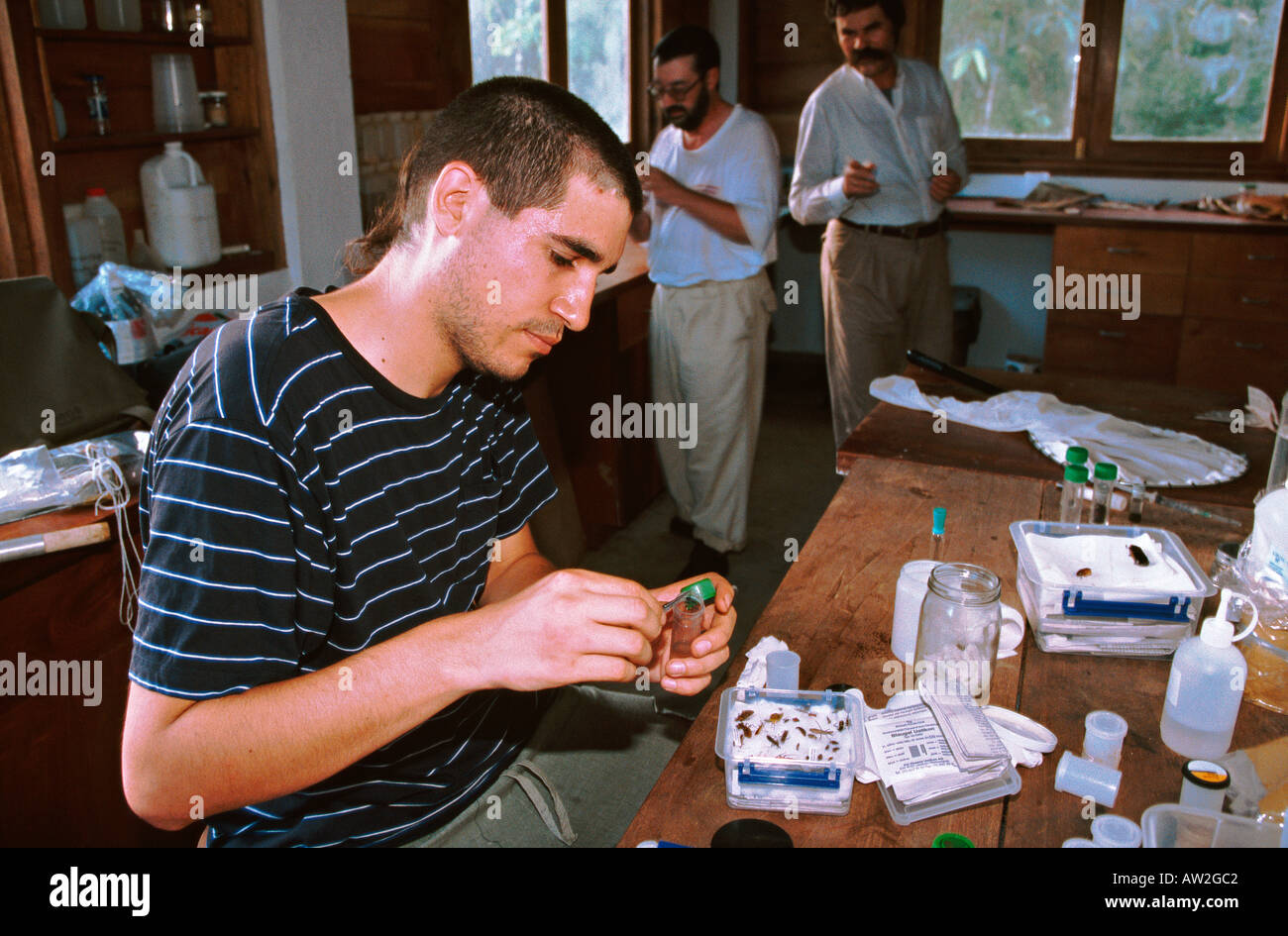 Biologist lab insects hi-res stock photography and images - Alamy