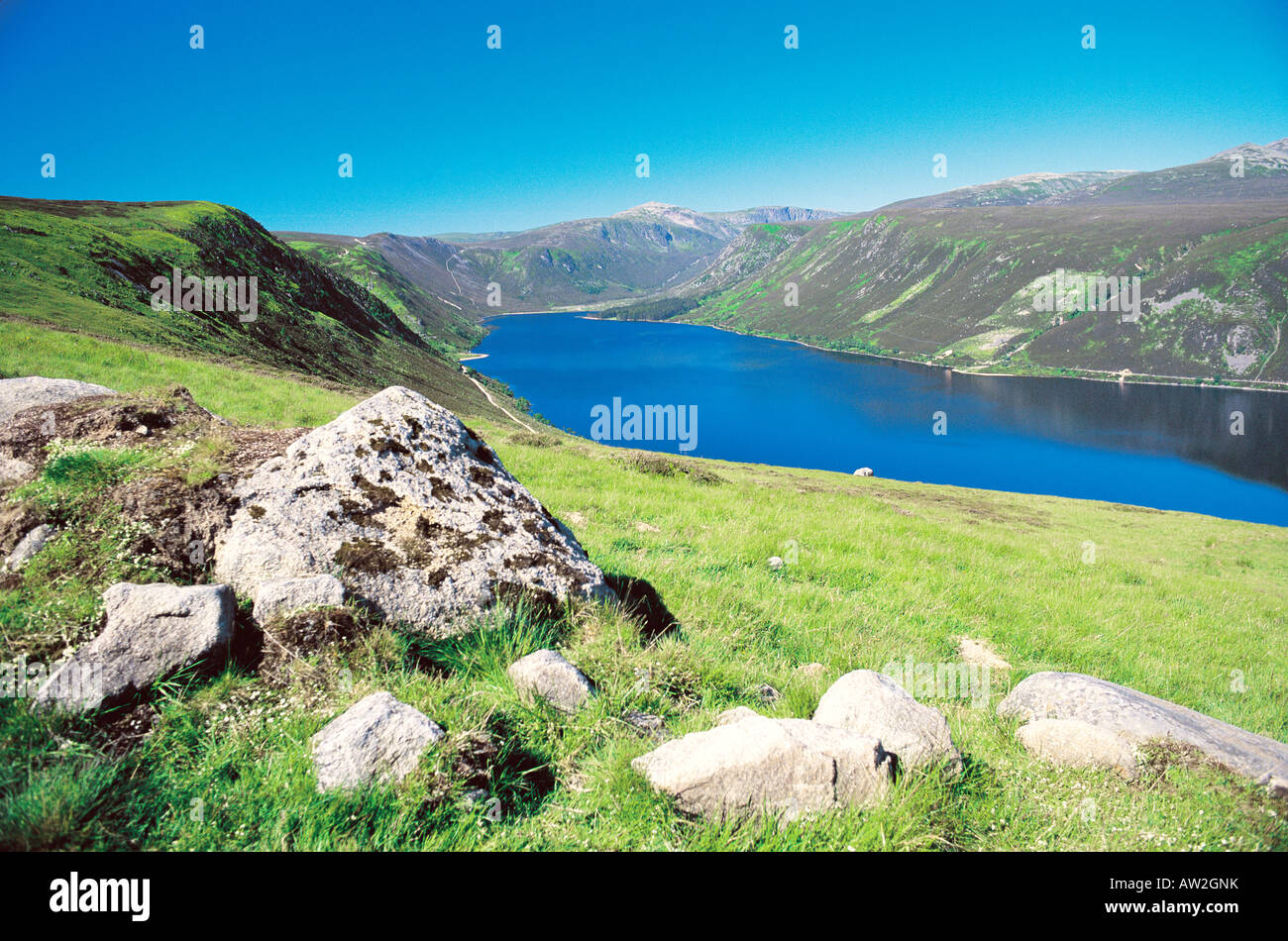 Balmoral estate hires stock photography and images Alamy