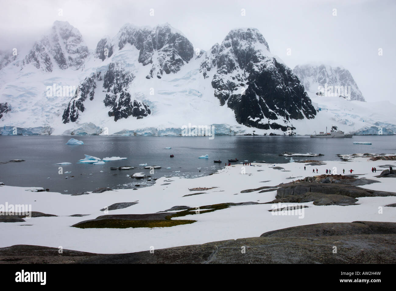 Tourists walking through a Penguin colony at Pleneau Island, Antarctica Stock Photo