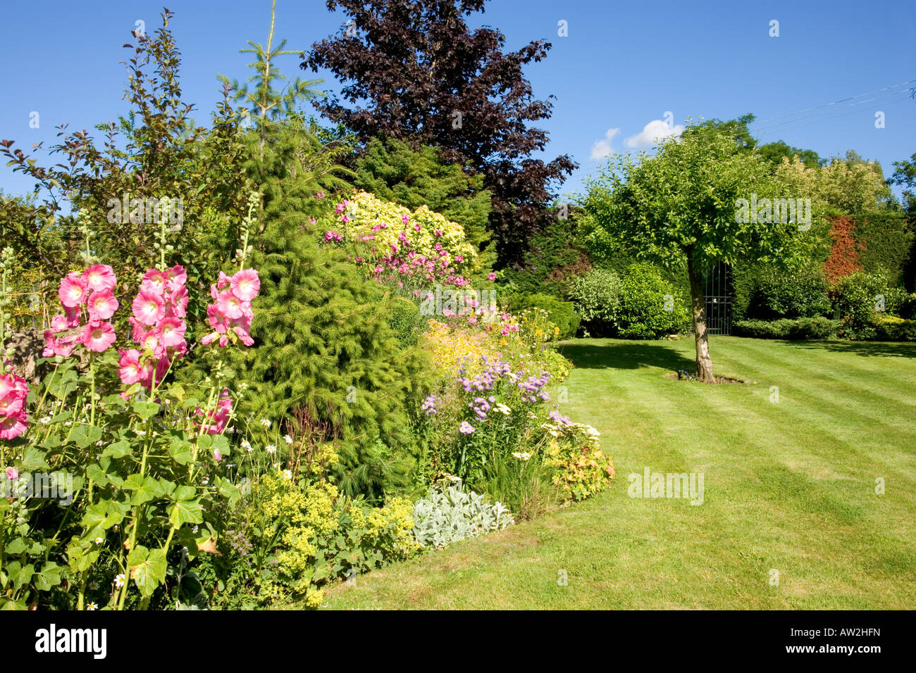 Colourful summer garden border hi-res stock photography and images - Alamy