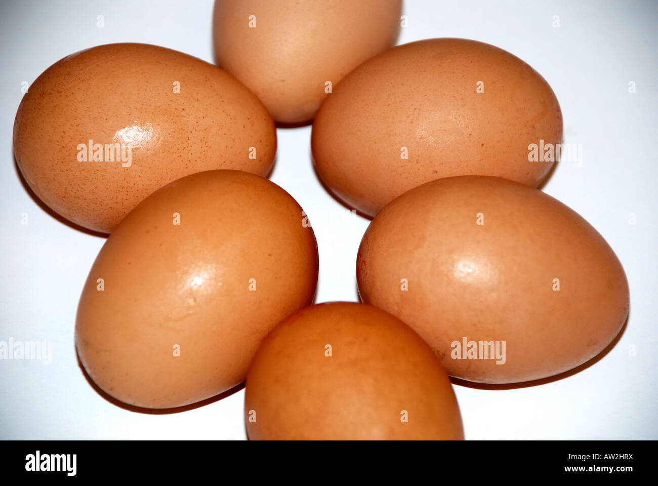 Free range home produced eggs hires stock photography and images Alamy