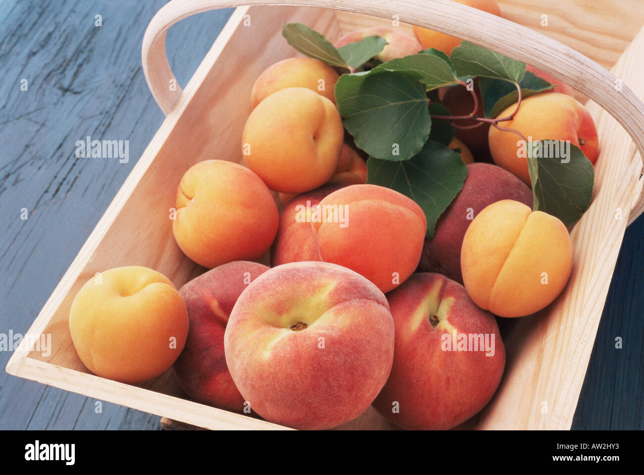 юные персики. юные персики. персик 18 девушка. таня митюшина intimissimi. юные персики.