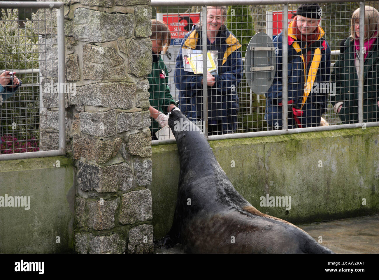 Cornish seal sanctuary gweek hi-res stock photography and images - Alamy