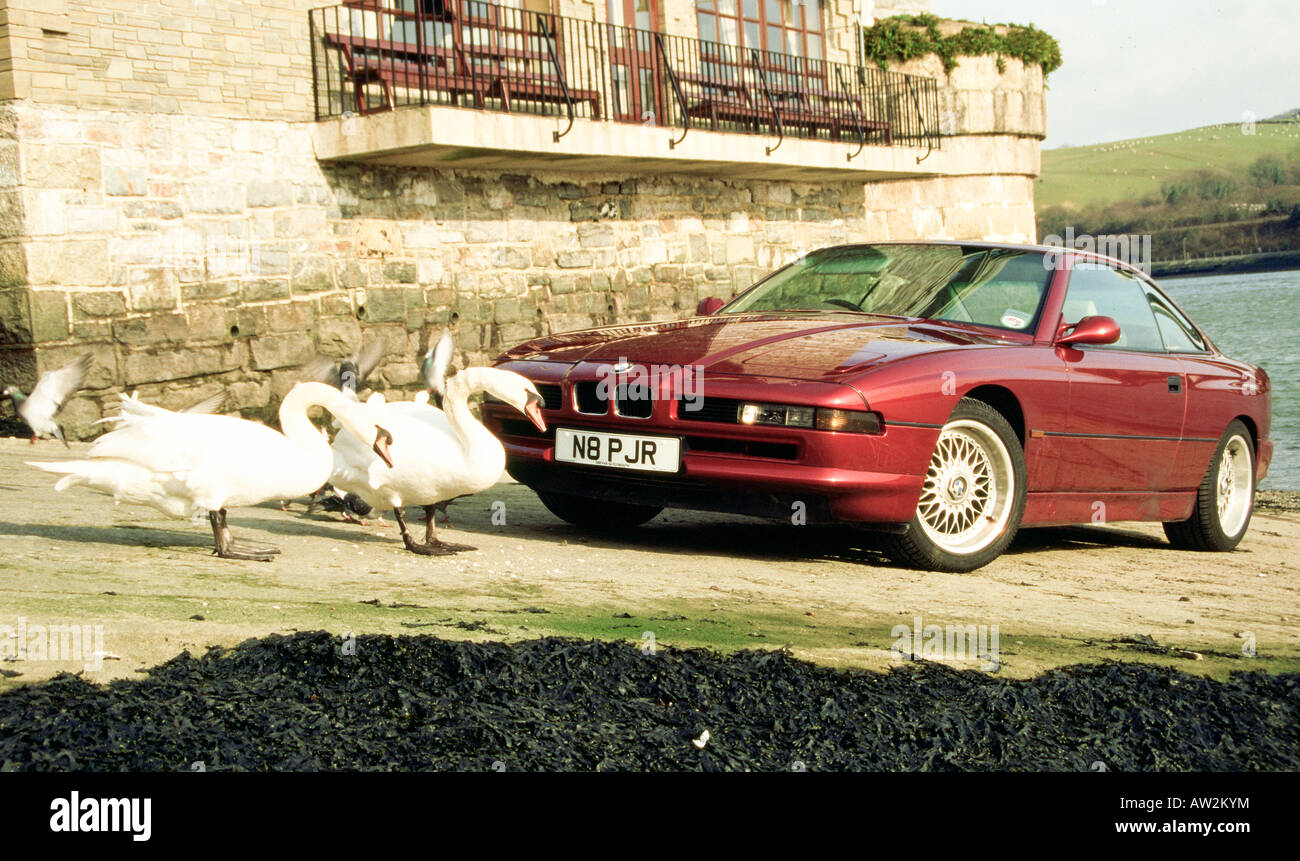 swans take ashine to a BMW 840i Stock Photo