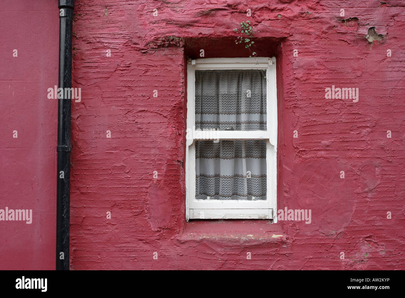 White cottage window, red painted wall and black downpipe in Kinghorn, Fife. Stock Photo