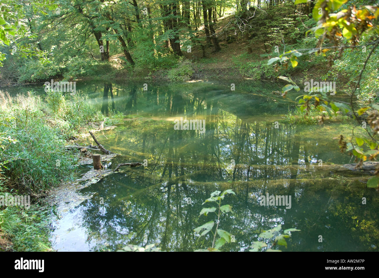 The river Rak flowing through the Rakov Skocjan gorge in Slovenia, which re-emerges as the Uneca and flows from Lake Cerknica Stock Photo