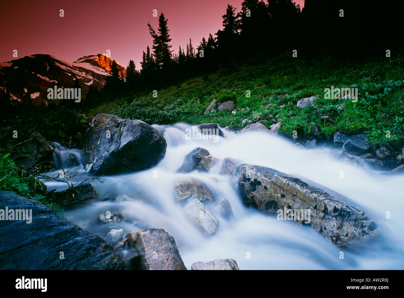 Small stream, Skoki Valley, Banff National Park, Alberta, Canada Stock Photo