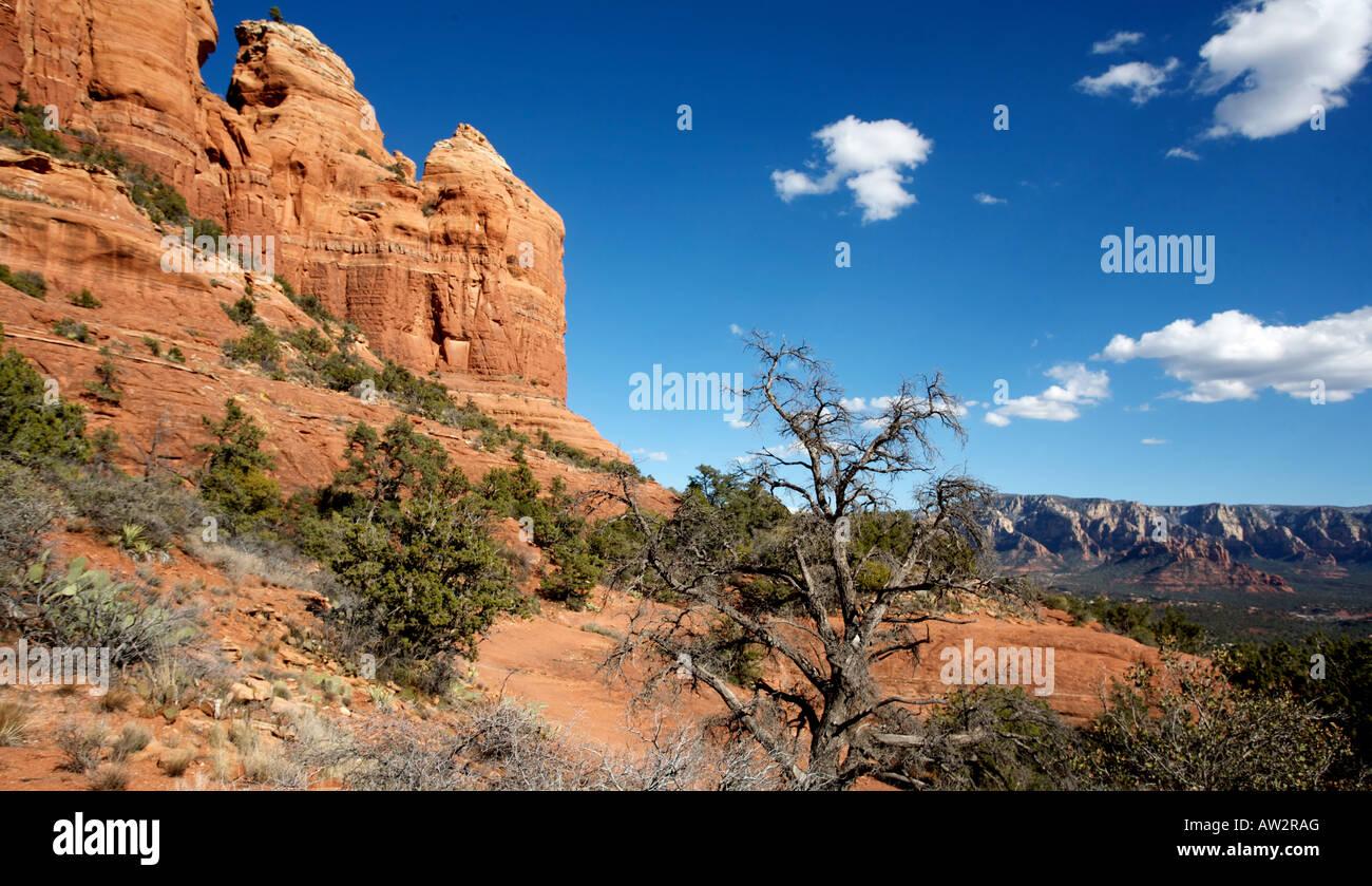 Red Rocks with view of Sedona AZ Stock Photo - Alamy