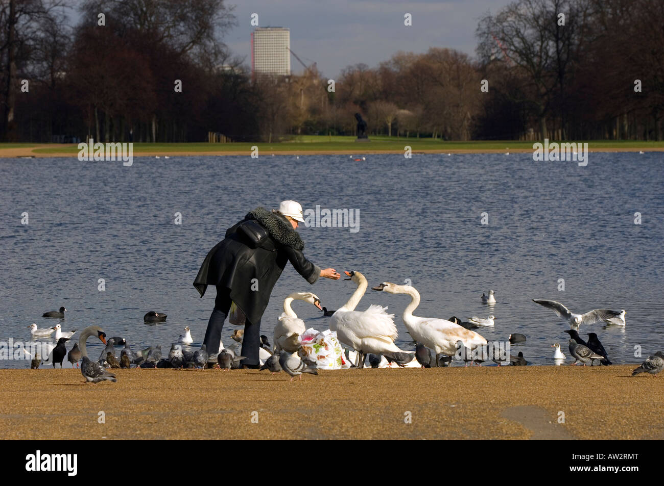 People strolling and feeding birds by The Round Pond Kensington Gardens