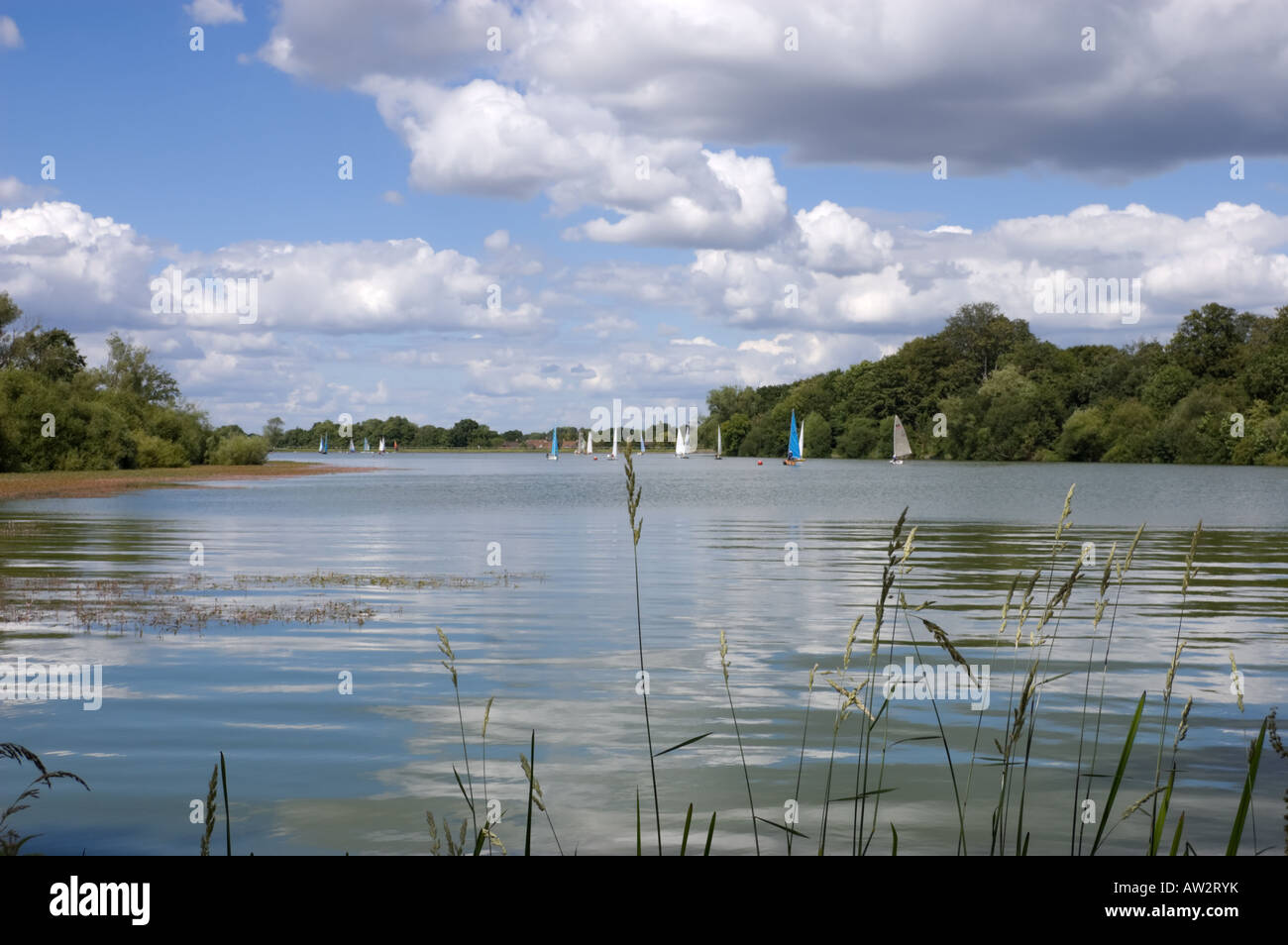 Windmill Lake Earlswood Lakes, Solihull, West Midlands, England, UK