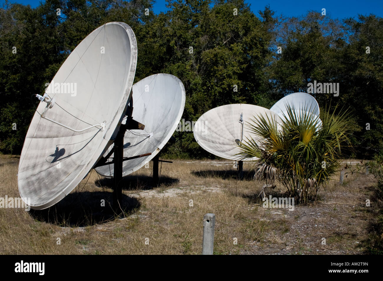 Four satellite dish antennas pointing towards the sky, Jekyll Island