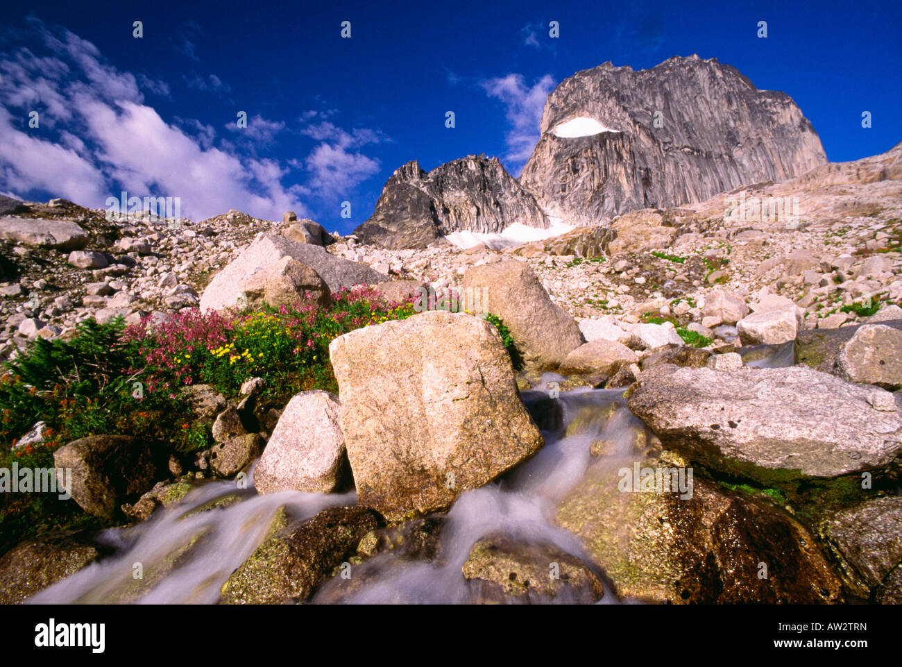 Small stream, Bugaboo Provincial Park, British Columbia, Canada Stock Photo