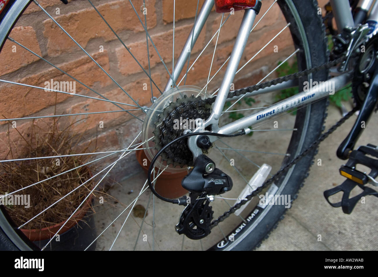 Cogs for mtb new arrivals