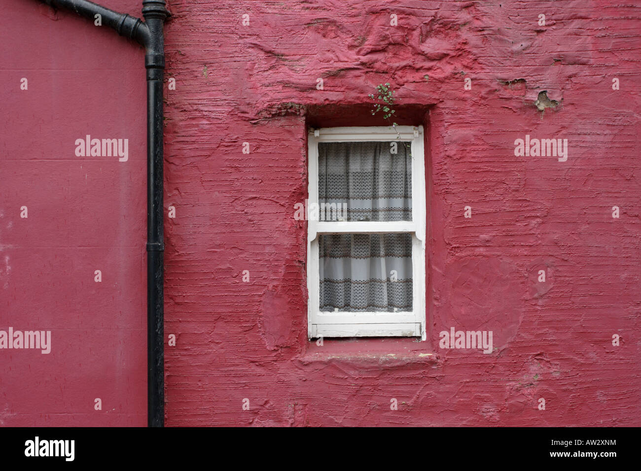 White cottage window, red painted wall and black downpipe in Kinghorn, Fife. Stock Photo