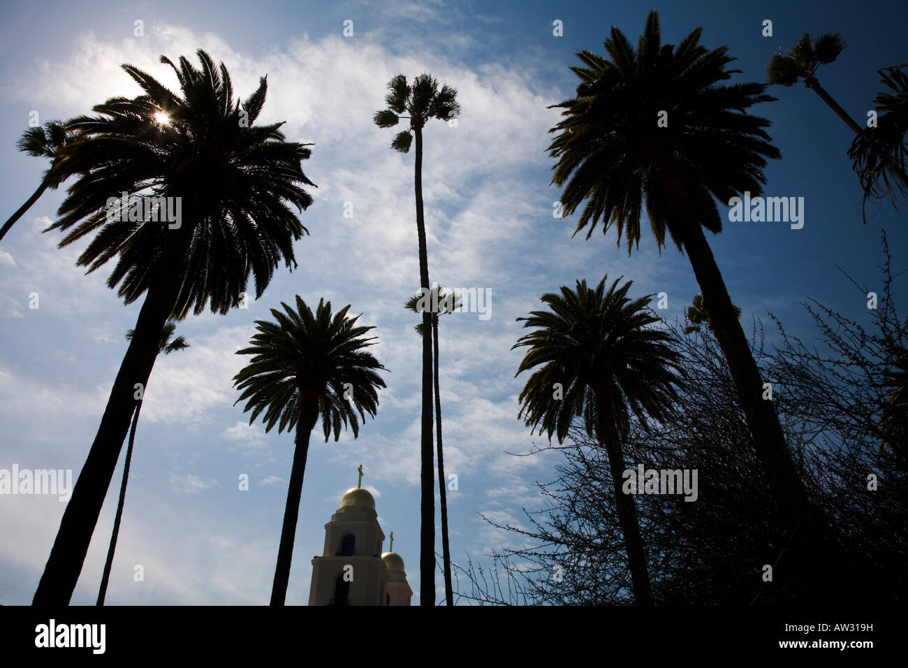 Palm Trees outside of The Good Shepherd Catholic Church Beverly Hills California United States Stock Photo