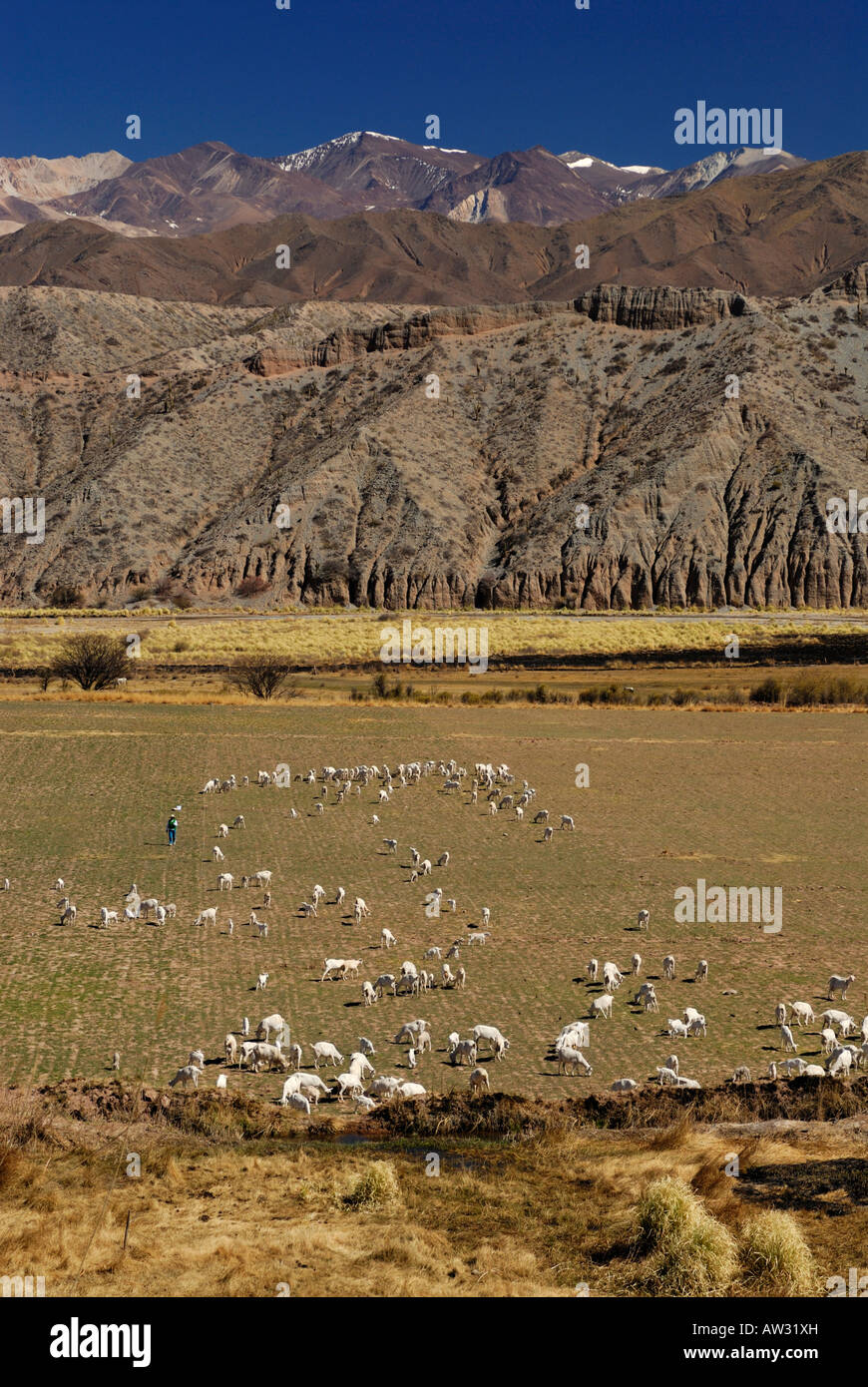 Town Of Cachi In The Calchaqui Valley Province Of Salta Argentina town-of-cachi-in-the-calchaqui-valley-province-of-salta-argentina