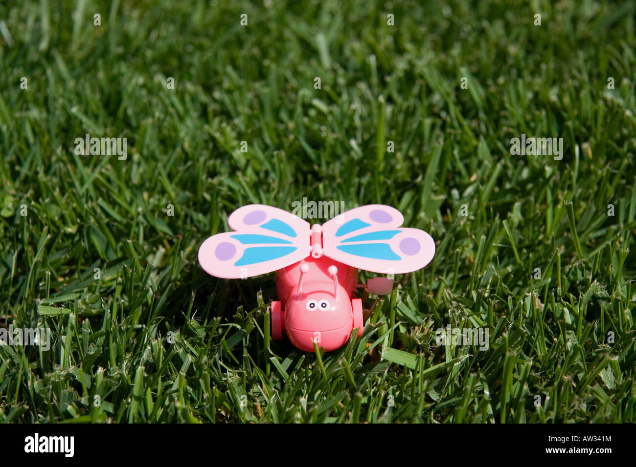 Butterfly Toy High Resolution Stock 