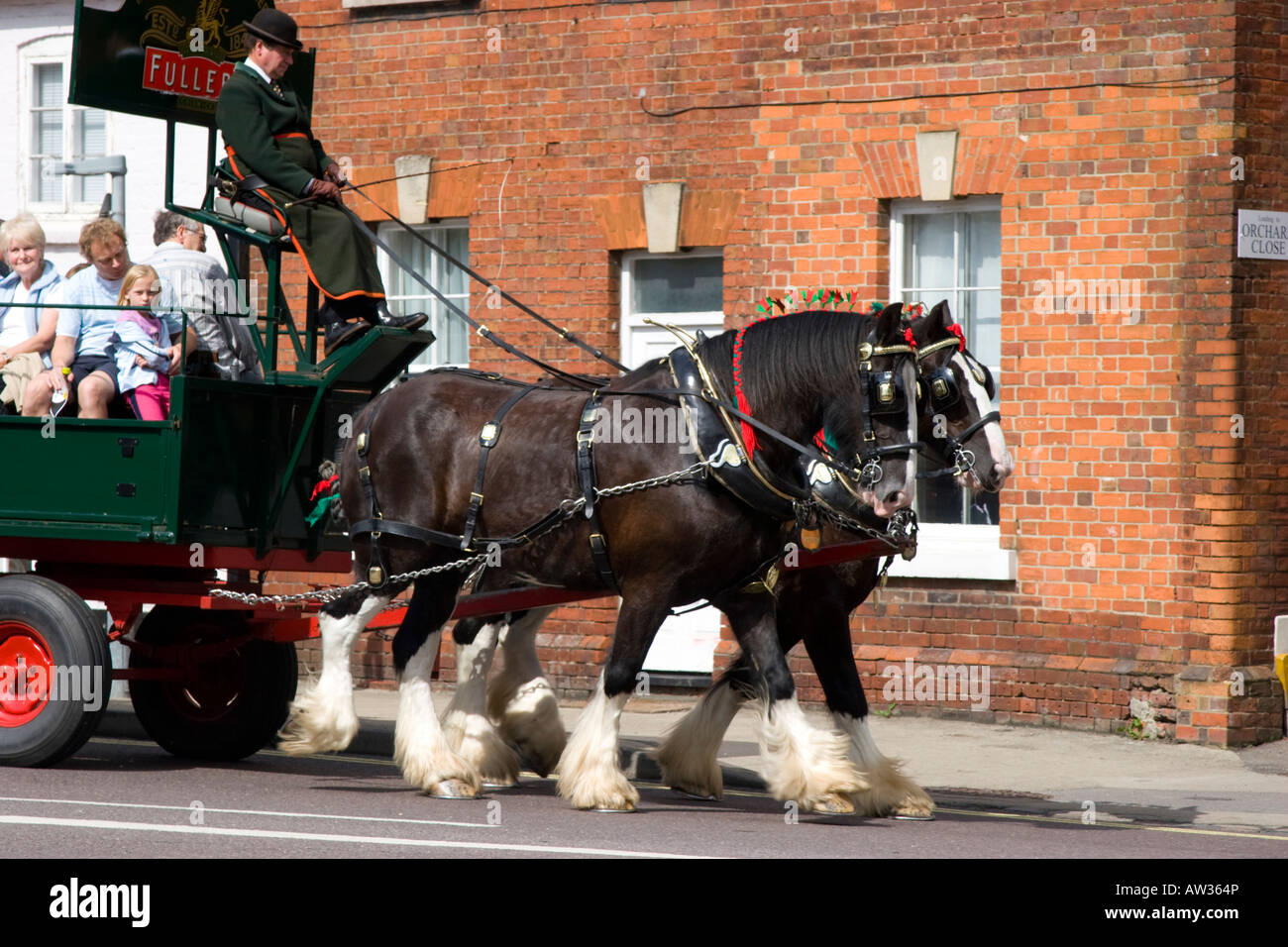 A pair of shire horses pulling a Fullers Brewery cart giving rides to