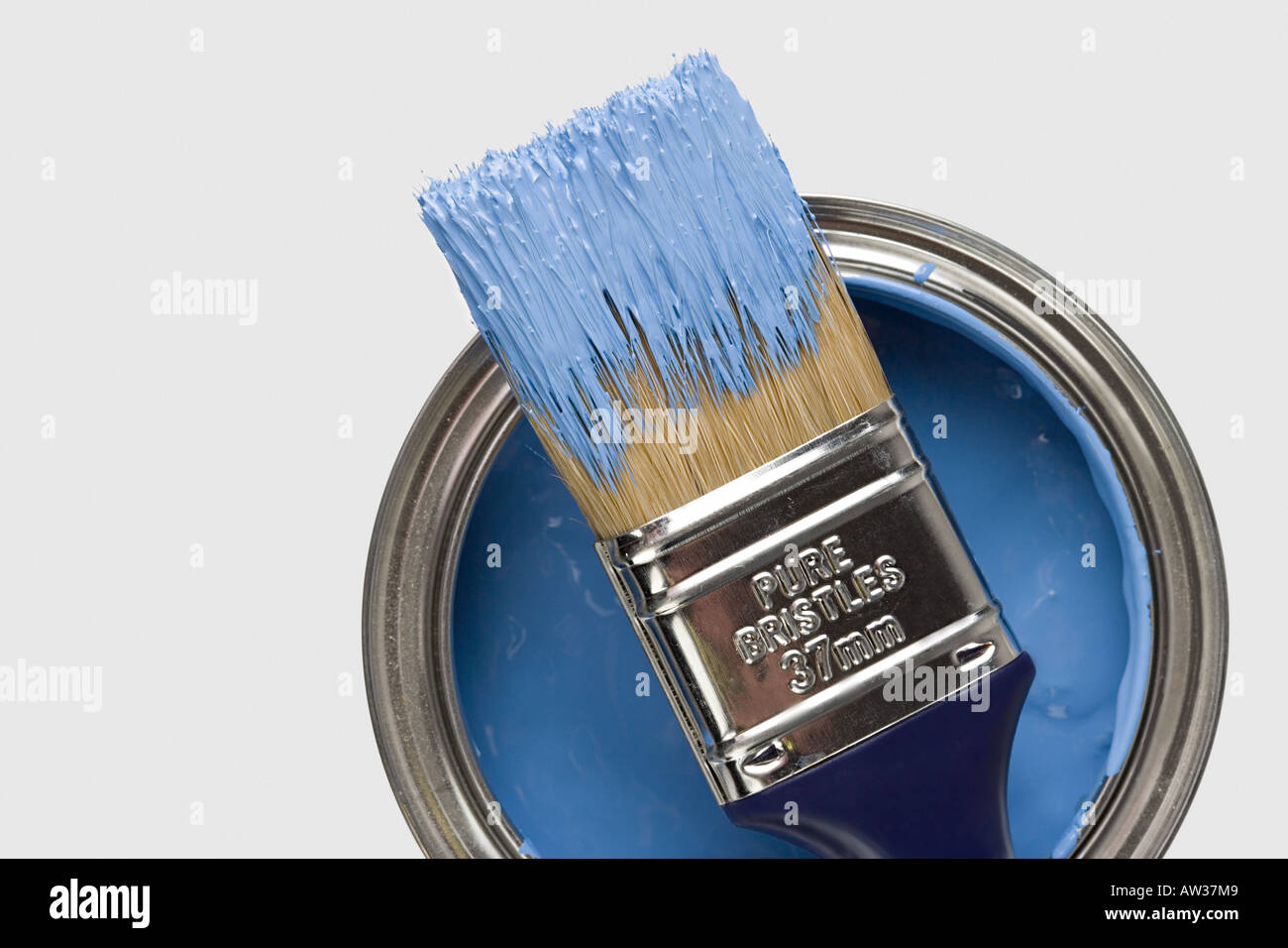 Paintbrush and blue paint Stock Photo - Alamy