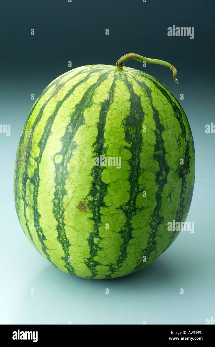 Melon types hires stock photography and images Alamy
