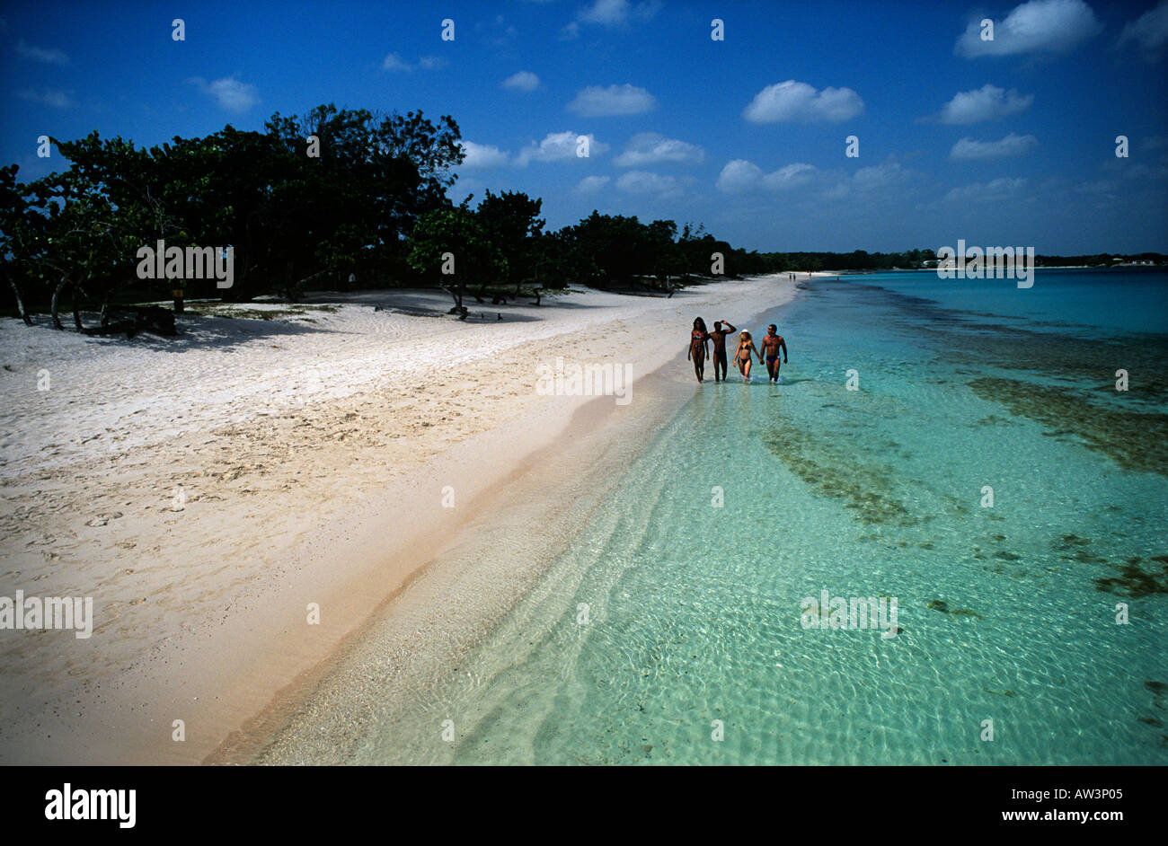 Two couples walking on tropical beach Stock Photo