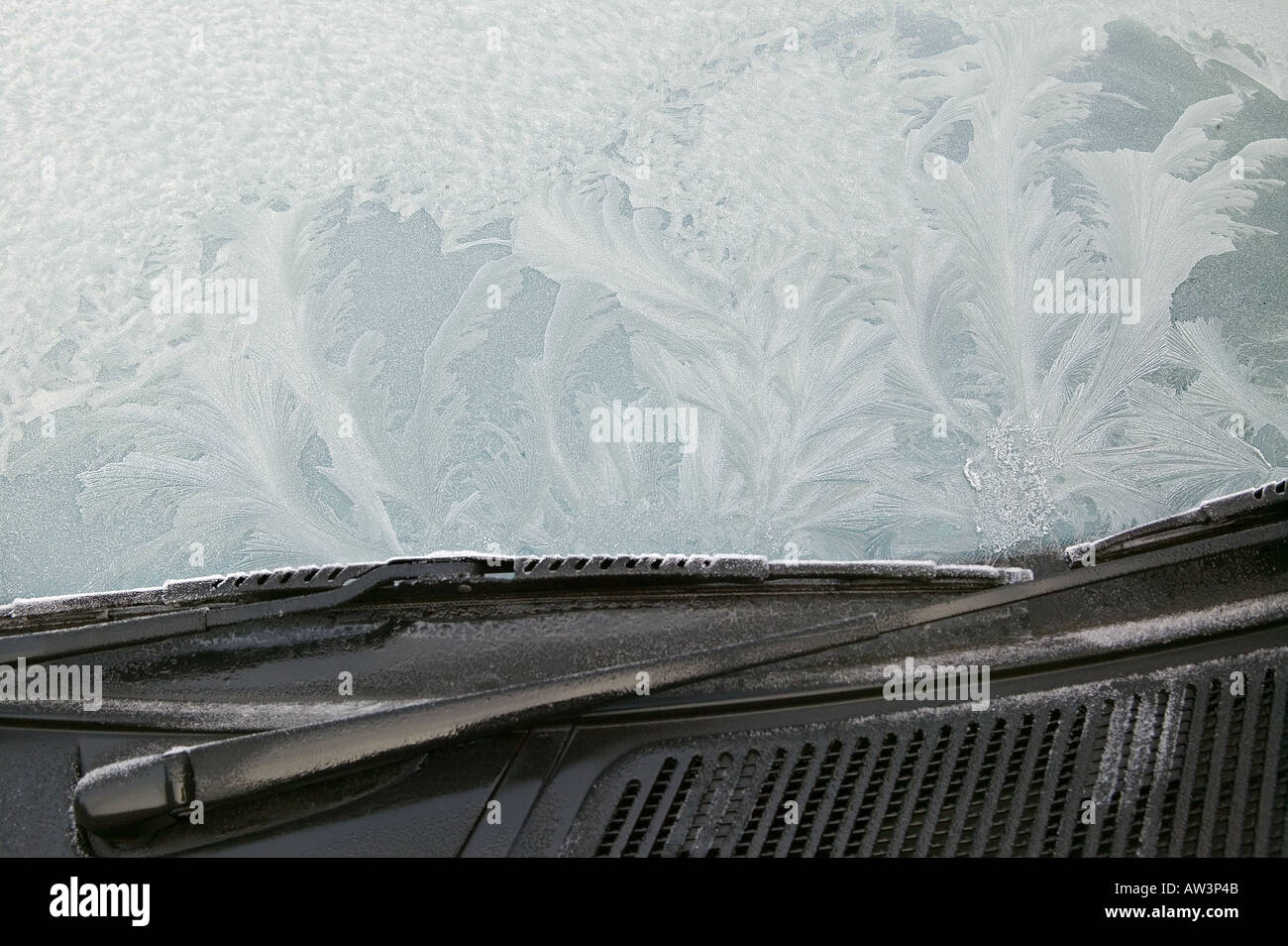 Opaque Windscreen High Resolution Stock Photography and Images - Alamy