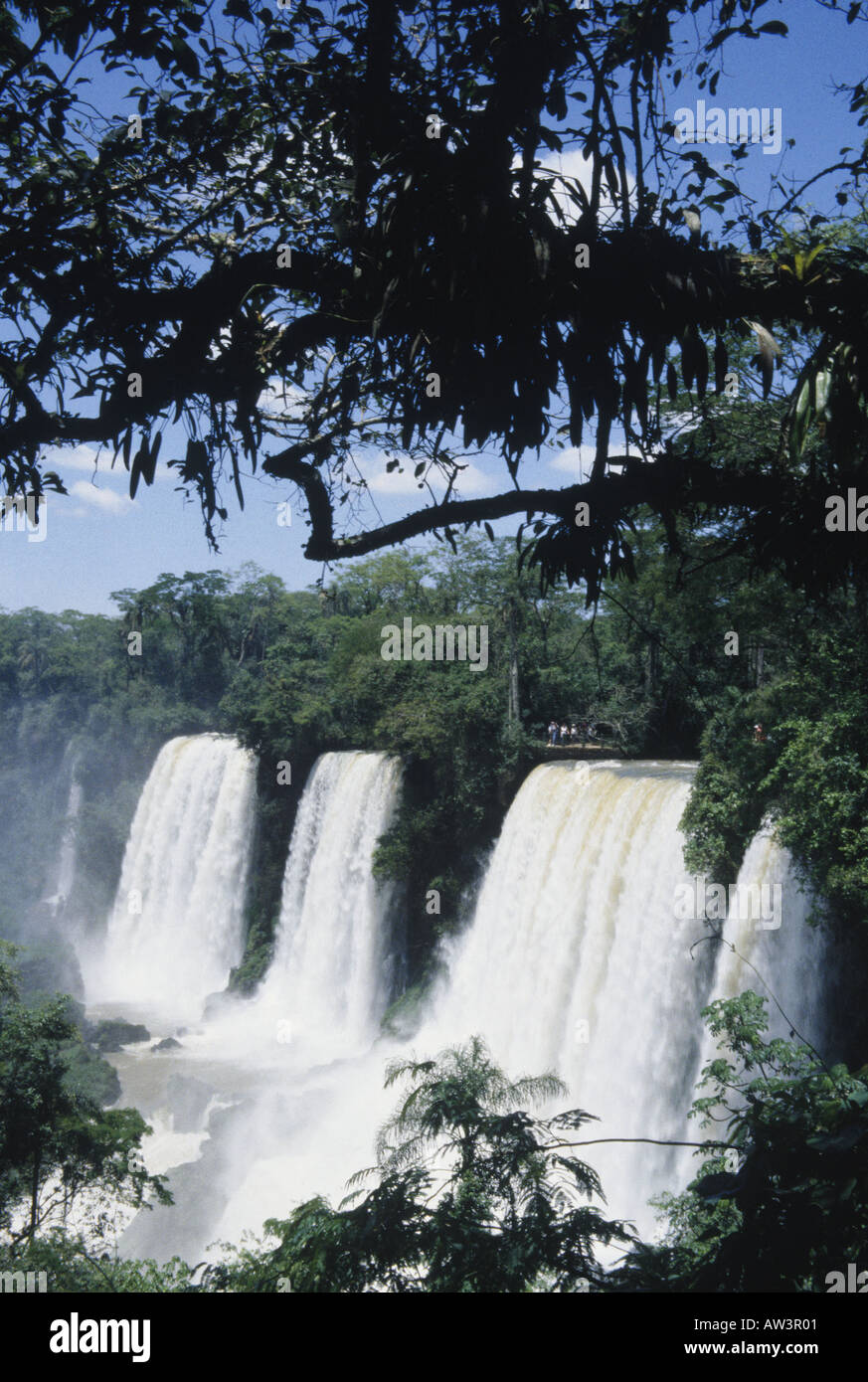 IGUAZU FALLS on the border between Argentina and BRazil. Photo: Tony Gale Stock Photo