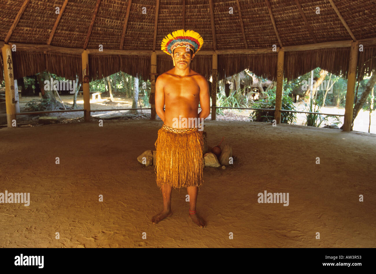 amerindian headpiece